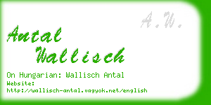 antal wallisch business card